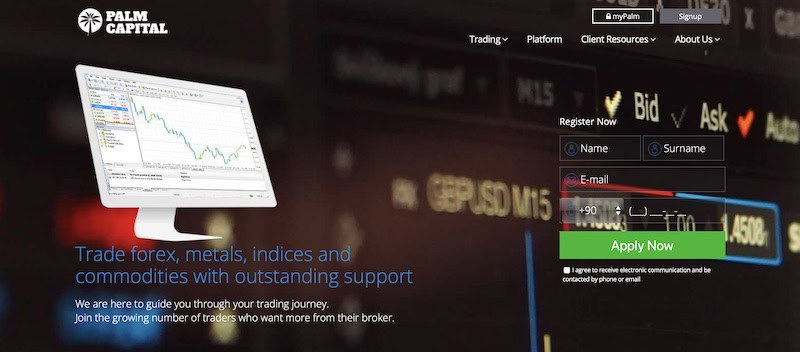 Palm Global